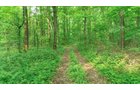 Van Buren County, Michigan farmland - LAND AUCTION - 194+/- ACRES OFFERED IN 5 TRACTS IN VAN BUREN COUNTY, MICHIGAN